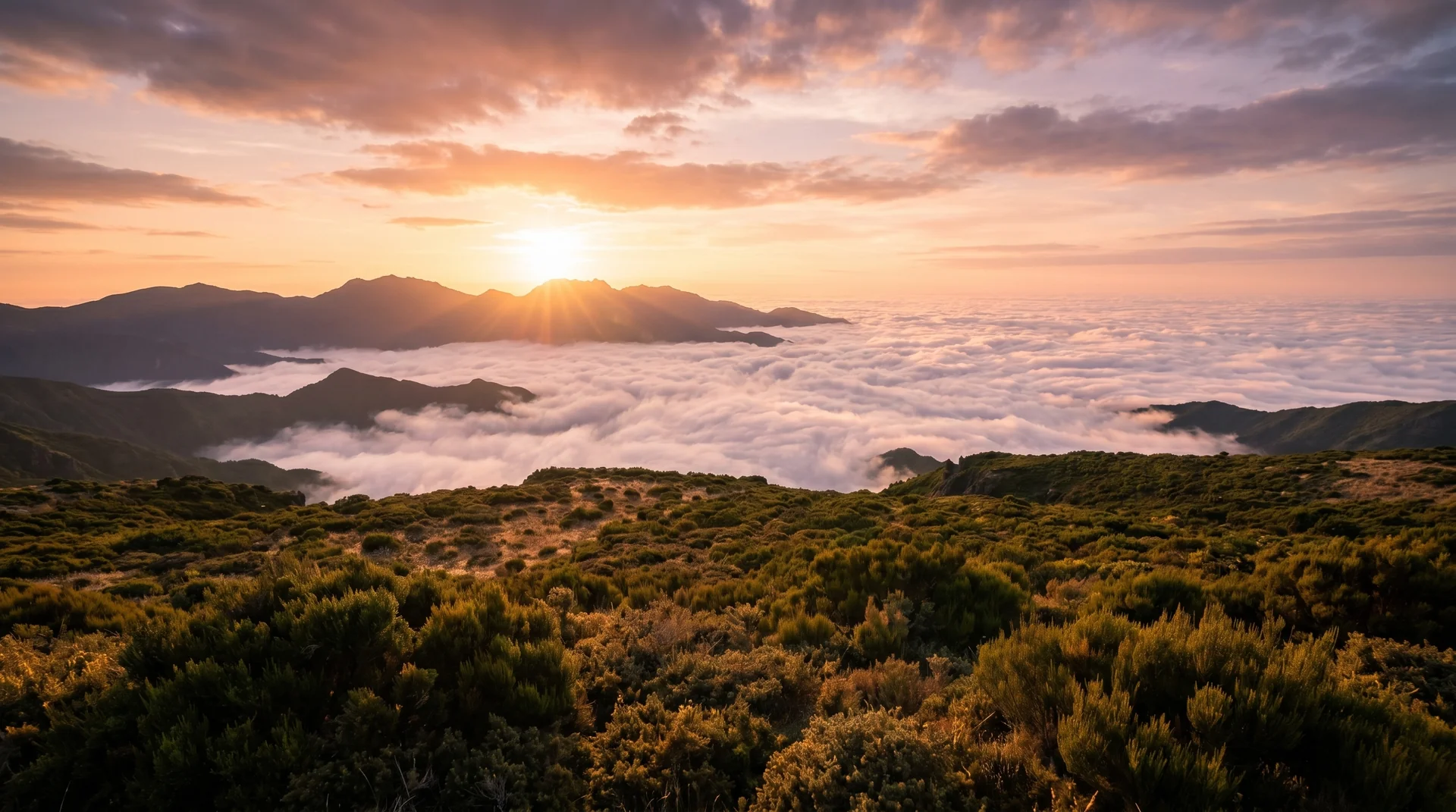 Bica da Cana plateau with cloud inversion below, Madeira